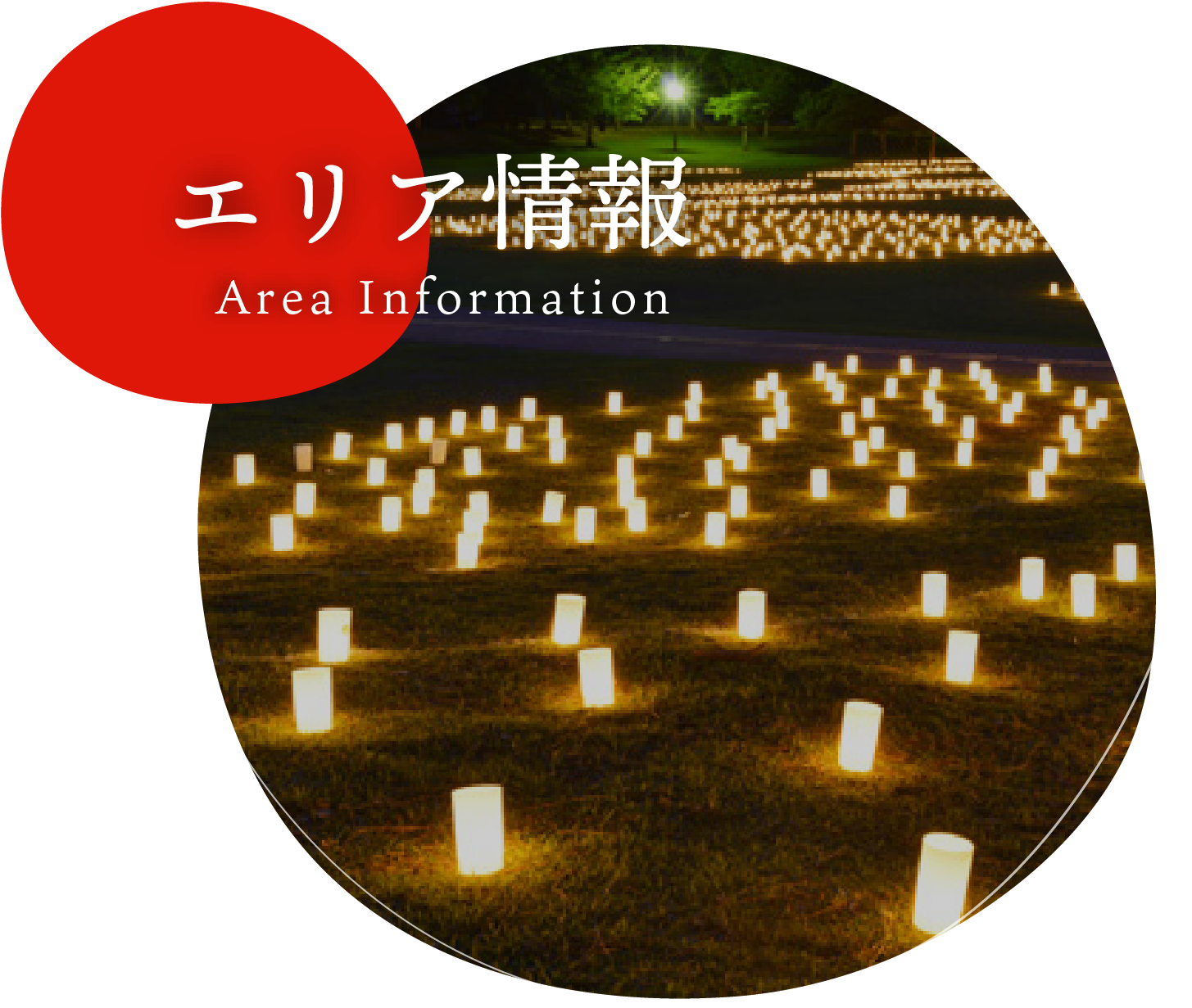 エリア情報